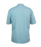Preview: UV T-Shirt 'light bluegrey' back view 